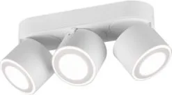 Rio International Trio Taurus Opbouwspot Led Mat Wit 3x 5W 3000K 450Lm