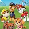 Lion King Paw Patrol Strandlaken Katoen 70x140 Cm