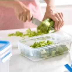 Emsa Voorraaddoos Clip & Close 800 Ml Groen - 19.5x13.5x6 Cm -meubels winkel product 1040608