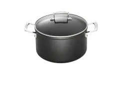 Le Creuset Kookpot Antikleef 20cm Les Forgees Glasdeksel Gesmeed Alu -meubels winkel product 237812