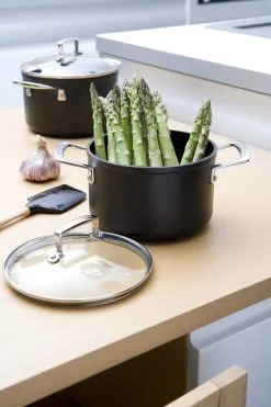 Le Creuset Kookpot Antikleef 20cm Les Forgees Glasdeksel Gesmeed Alu -meubels winkel product 35850