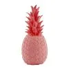 Goodnight Light The Pina Colada Berry Pink 2 Goodnight Light The Pina Colada Berry Pink -meubels winkel product 620578