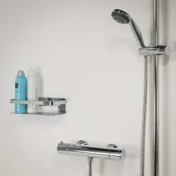 Tiger Caddy Douchemandje Chroom -meubels winkel product 665996