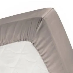 Cinderella Hoeslaken Jersey Taupe 90x200 Cm Katoen 160 G -meubels winkel product 789597