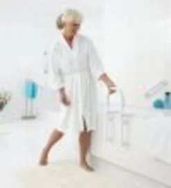 Ridder Assistent Badinstaphulp