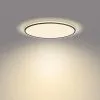Hue Philips Ozziet Plafondlamp 36W Zwart -meubels winkel product 940802