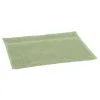Clarysse Gastendoek Mila 30x50 Cm 60 G Groen -meubels winkel product 956793