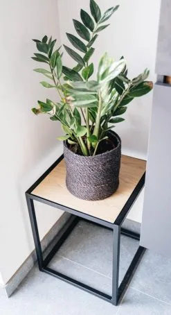 Bijzettafel 002 Industrieel 39x39x49cm Zwart - Beuk -meubels winkel product 971915