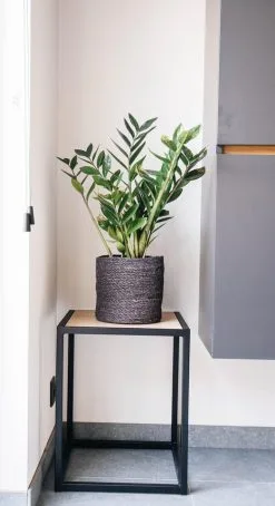 Bijzettafel 002 Industrieel 39x39x49cm Zwart - Beuk -meubels winkel product 971920