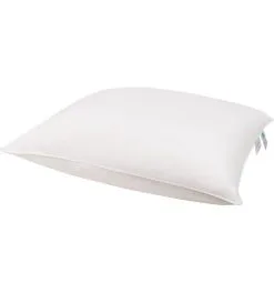 Kussen Softflex 60x60 Cm